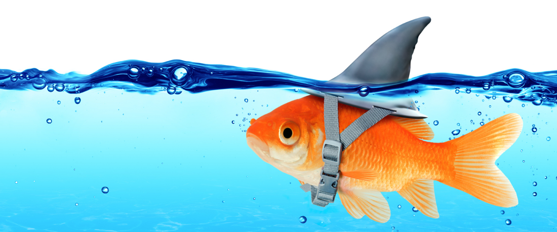 A Marketing Misconception
