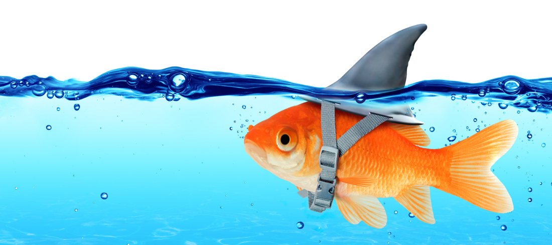 A Marketing Misconception