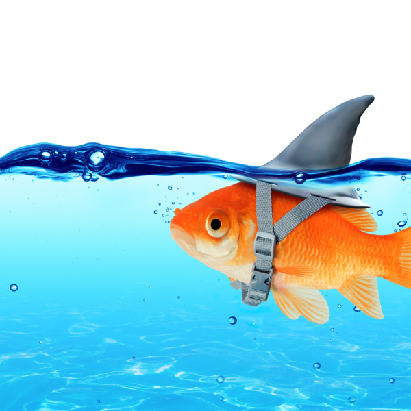 A Marketing Misconception