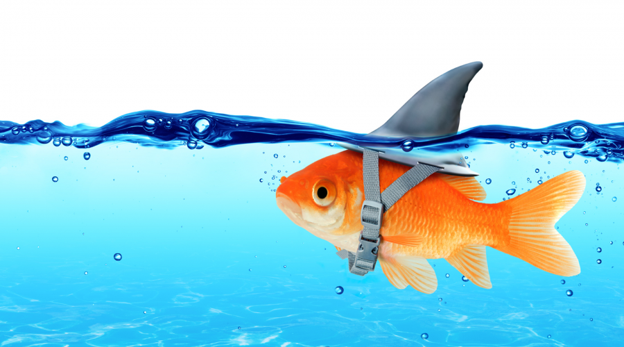 A Marketing Misconception