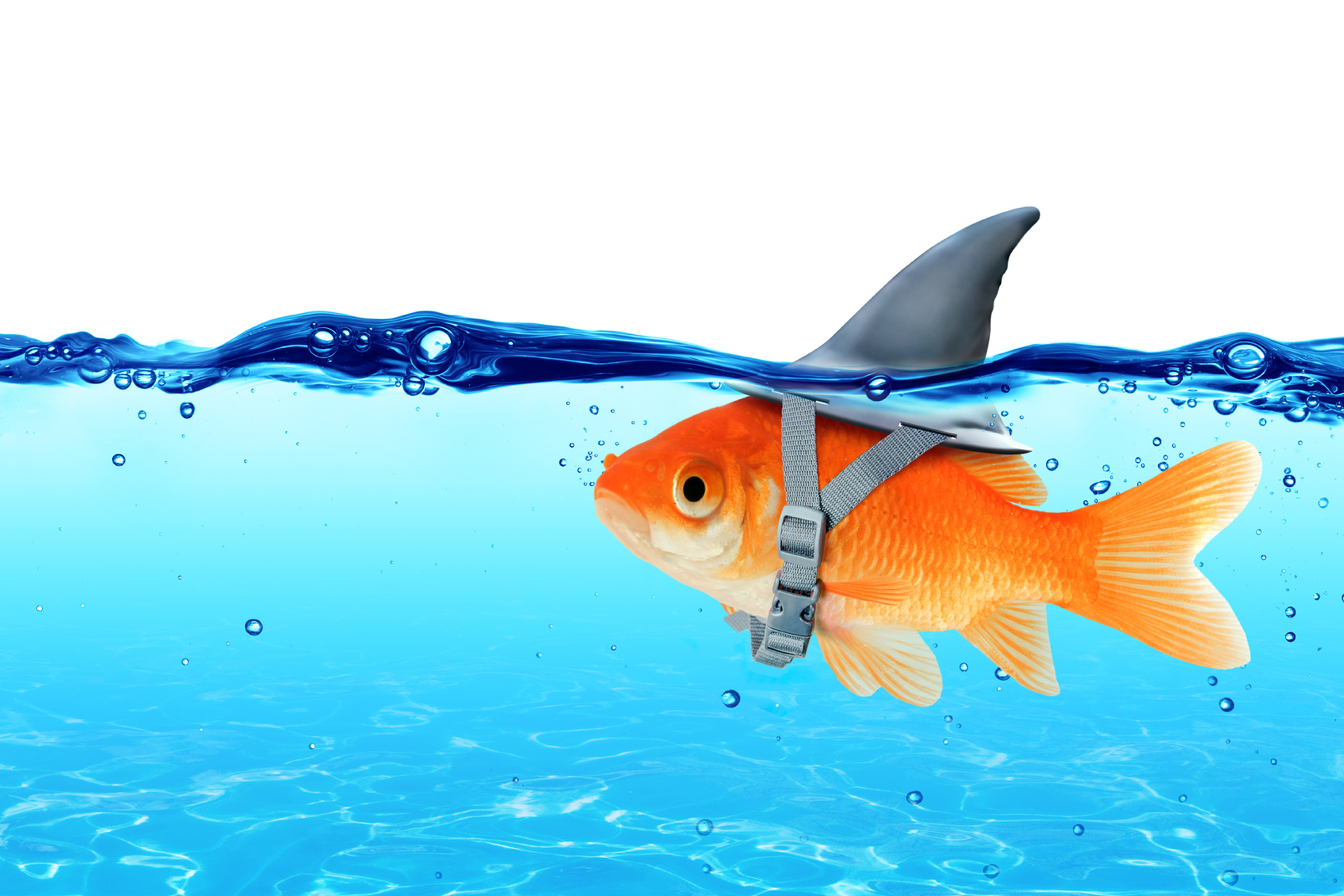 A Marketing Misconception