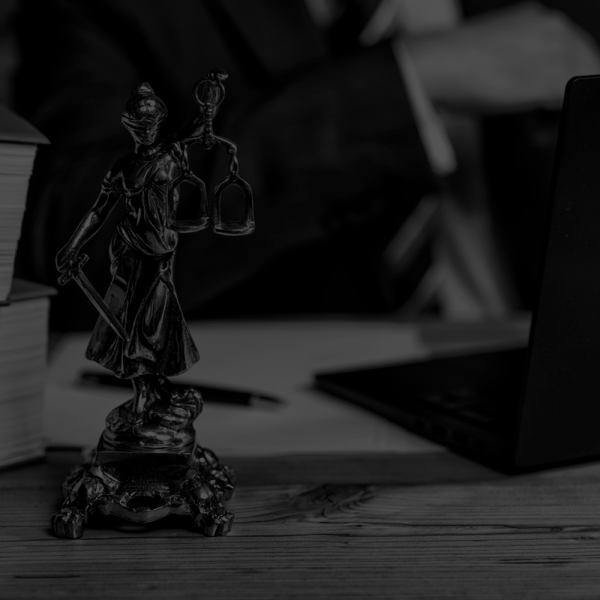 Pro Bono Attorney